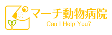 マーチ動物病院