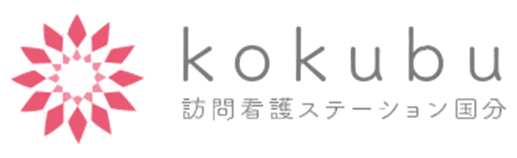 株式会社訪問ステーション