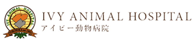アイビープランニング有限会社