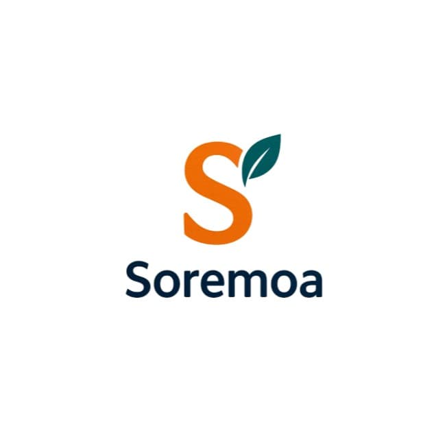 合同会社Soremoa